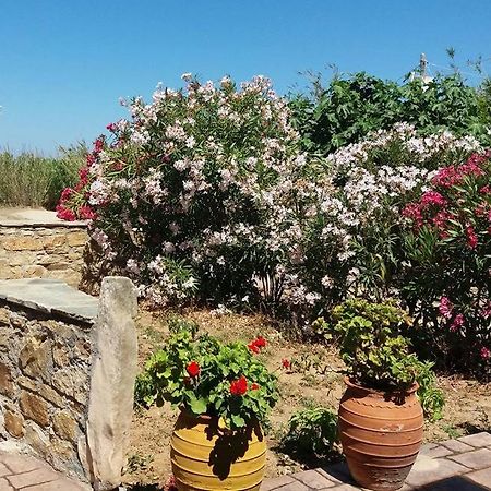 Villa Danai Agia Anna  외부 사진
